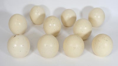 Lot 56 - A set of ten ostrich egg light shades, each...