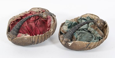 Lot 924 - A taxidermy armadillo shell, 20th century,...