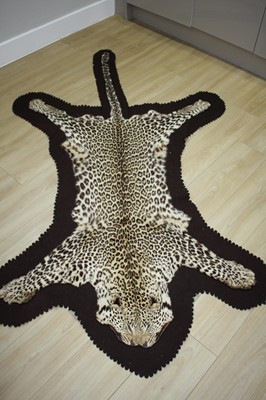 Lot 856 - An early 20th century taxidermy Leopard skin...