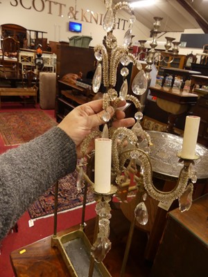 Lot 1291 - A pair of wired metal and moulded glass...