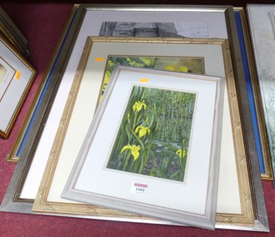 Lot 1089 - Margaret Hammond - Waterflowers, oil, together...