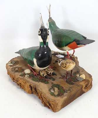 Lot 90 - A painted figure group of two lapwings with...