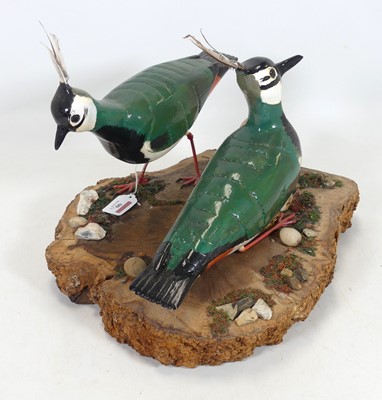 Lot 90 - A painted figure group of two lapwings with...