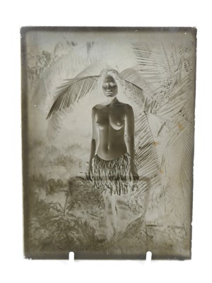 Lot 329 - A 19th century glass photographic plate...