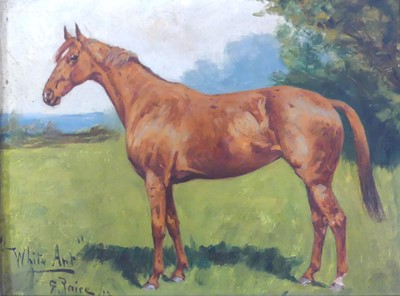 Lot 352 - George Thomas Pace (1854-1925) - 'White Ant',...