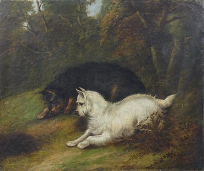 Lot 2365 - George Armfield (1808-1893) - Two terriers...