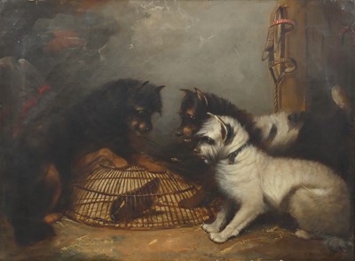 Lot 2364 - George Armfield (1808-1893) - Terriers ratting...