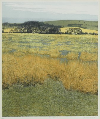 Lot 345 - Phil Greenwood (b.1943) - Burnt Moor (1979),...