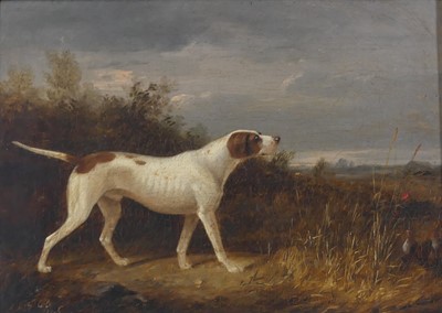 Lot 2366 - George Cole (1810-1883) - English pointer in a...