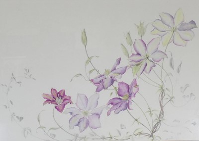 Lot 1005 - Tom Hayden - Clematis Flowers, watercolour...