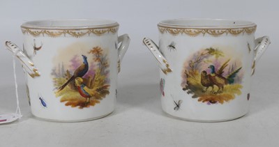 Lot 154 - A pair of Dresden porcelain cachepots, each...