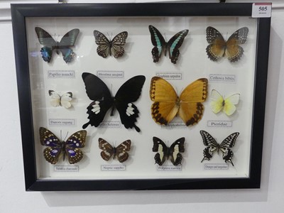 Lot 505 - A framed & glazed display of various butterflies