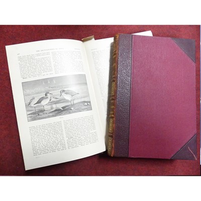 Lot 135 - The Encyclopedia of Sport, edited by the Earl...