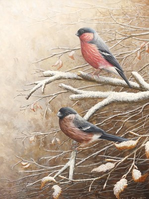Lot 1047 - Mark Chester (b.1960) - Winter Bullfinches,...