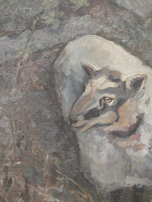 Lot 1056 - Paula W. Patterson - Study of a lone sheep,...