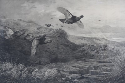 Lot 423 - After Archibald Thorburn, (1860-1935), Grouse...