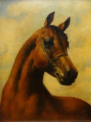 Lot 414 - English school - study of a horse's head, oil...