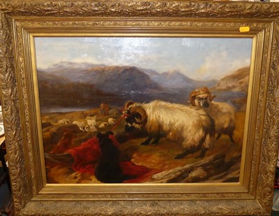 Lot 477 - 19th century school - Sheep in a North Country...