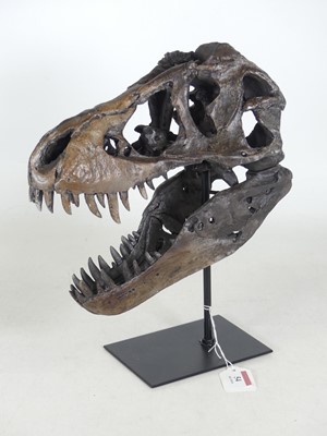 Lot 54 - A composite model of a Tyrannosaurus skull, on...