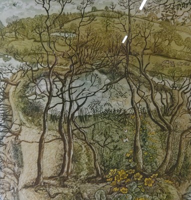 Lot 512 - Glynn Thomas (b.1946) - Spring, colour etching,...