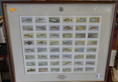 Lot 579 - A framed display of Player's cigarette cards,...