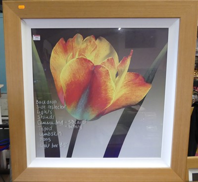 Lot 594 - A pair of modern furnishing prints depicting a...