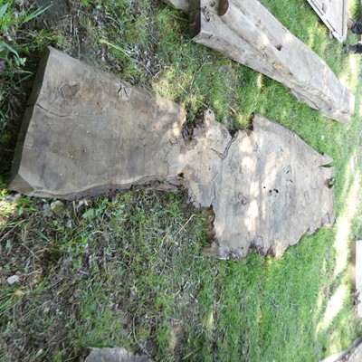Lot 505 - A sawn burr wood slab, being 2" deep, length...
