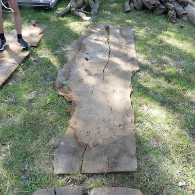 Lot 509 - A burr wood sawn timber section, depth 1", max...