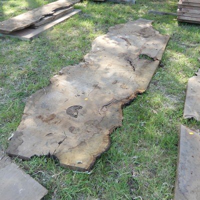Lot 512 - A burr wood sawn timber section, depth 1.5",...