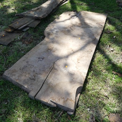 Lot 514 - A sawn elm timber section, depth 3",...