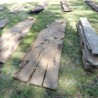 Lot 528 - A sawn burr oak timber slab, depth 1½", approx...