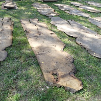 Lot 529 - A sawn burr oak timber slab, depth 1½", approx...