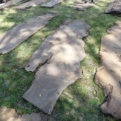 Lot 530 - A sawn burr oak timber slab, depth 1½", approx...