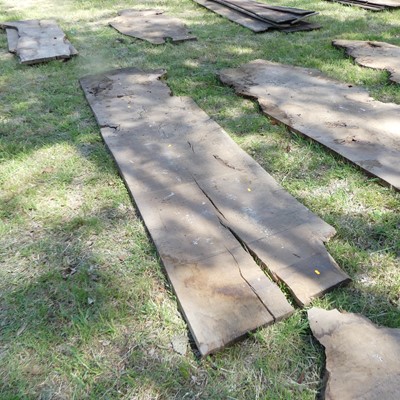 Lot 531 - A sawn burr oak timber slab, depth 1½", approx...