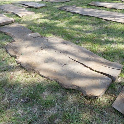 Lot 532 - A sawn burr oak timber slab, depth 1½", approx...