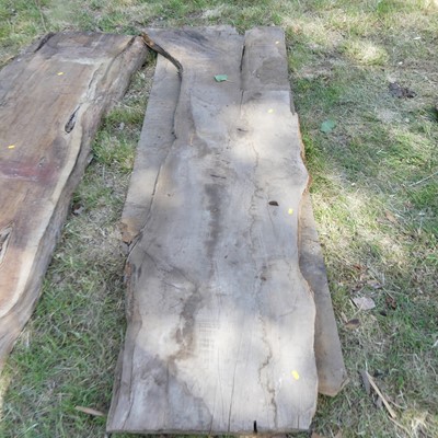 Lot 537 - Two sawn timber slabs, probably oak, one being...