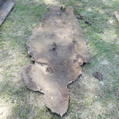 Lot 538 - A sawn burr wood slab, depth 2", 8 x 3ft