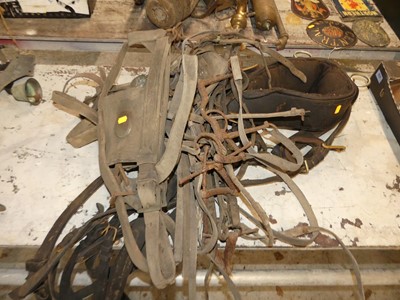 Lot 725 - A quantity of leather horse tack etc