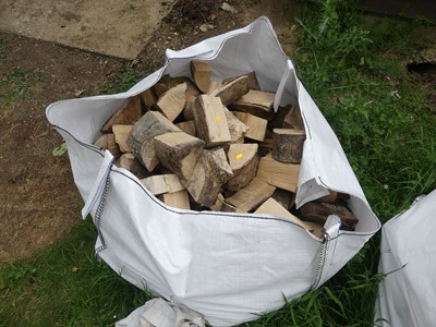 Lot 556 - A grab bag containing seasoned firewood