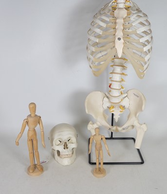 Lot 37 - A composite anatomical model of a part of a...