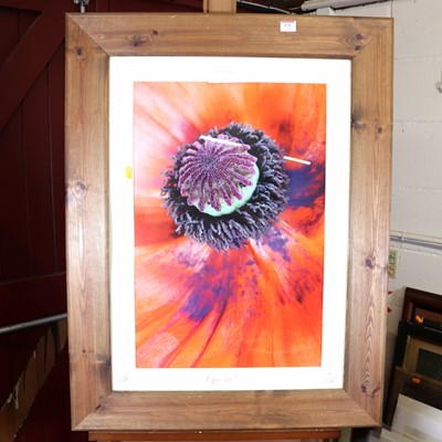 Lot 575 - A collection of pictures and prints, to...