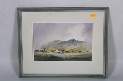 Lot 524 - David Bellamy (1933-2019) - Whitewashed...
