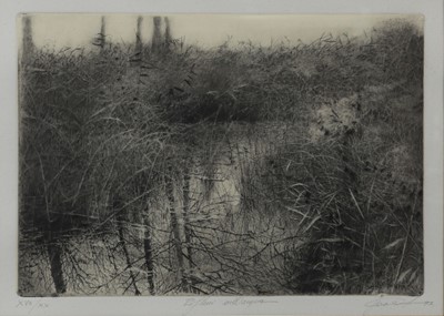 Lot 88 - Livio Ceschin (Italian, b.1962) - Riflessi...