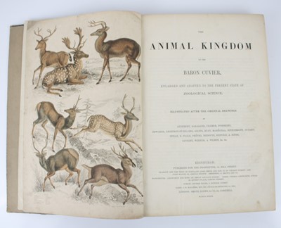 Lot SCIENCE & THE NATURAL WORLD: MacGillivray,...