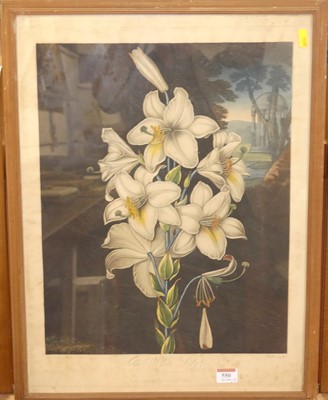 Lot 550 - After Henderson - a set of three botanical...