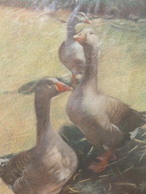 Lot 558 - James Govier (1910-1974) - Geese, pastel, 52 x...