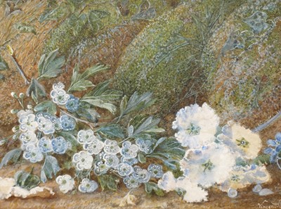 Lot 593 - Vincent Clare (1855-1930) - Still life with...