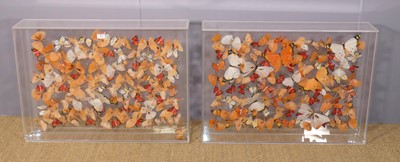 Lot 603 - Two perspex cased table-top displays of faux...