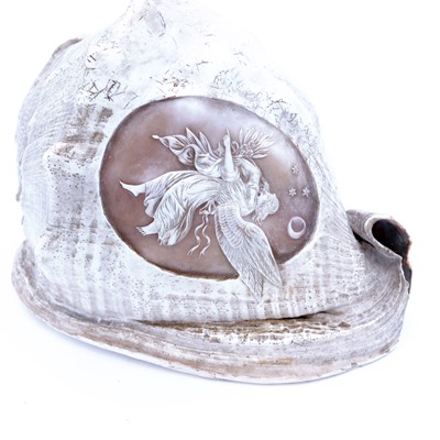 Lot 11 - A 19th century relief carved conch shell,...