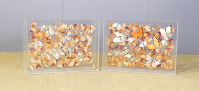Lot 636 - A pair of contemporary perspex faux butterfly...
